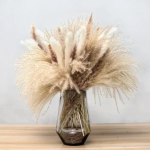 SKY-TOUCH Natural Dried Pampas Grass Bouquet : Brown White Reed Pampas Floral Arrangements Decorations for Home Room Office Party Decor (PCS)