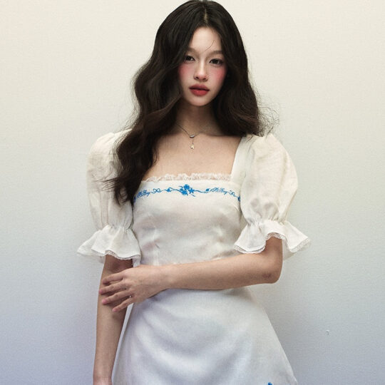 Women's Summer Blue Embroidered Horn Short Sleeve White Linen Generous Neck Dress